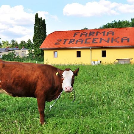 Farma Ztracenka Porici nad Sazavou Exterior photo