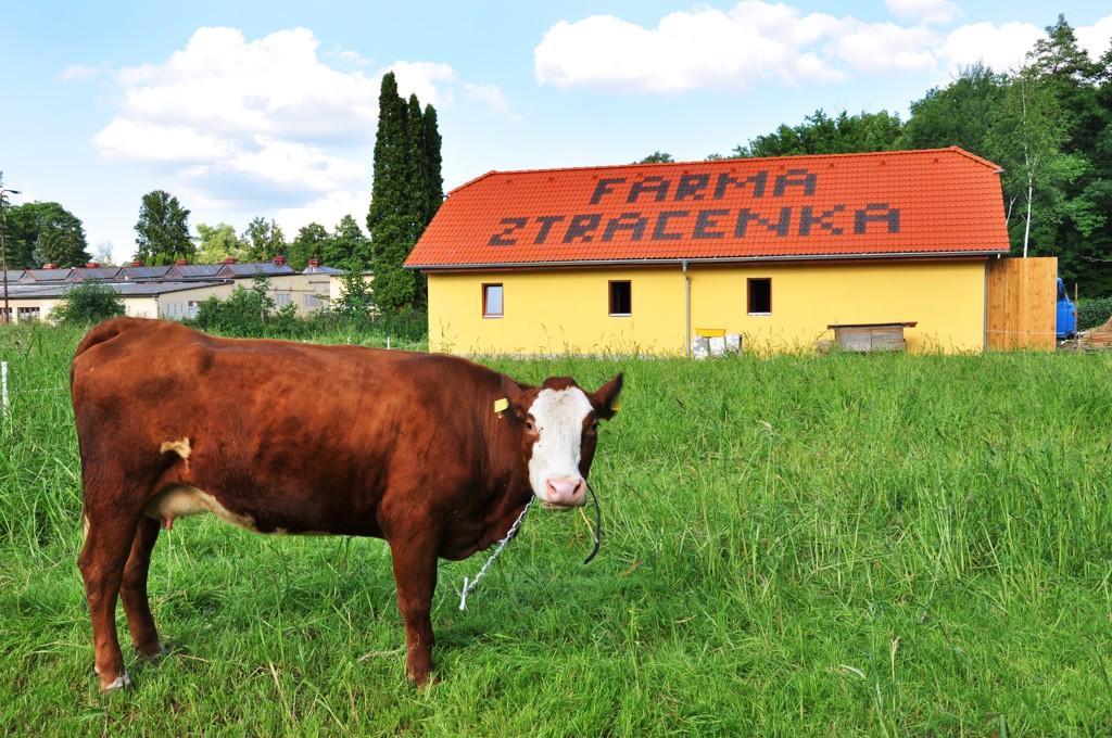Farma Ztracenka Porici nad Sazavou Exterior photo