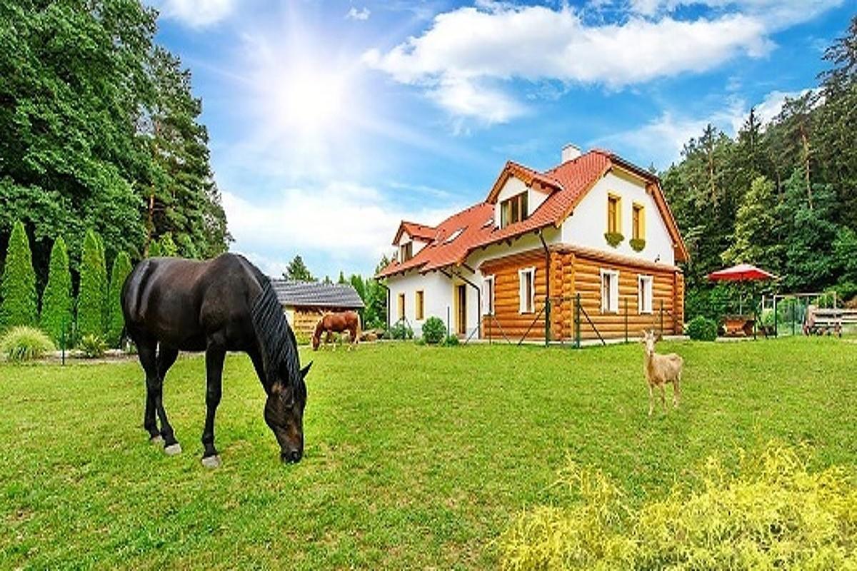 Farma Ztracenka Porici nad Sazavou Exterior photo